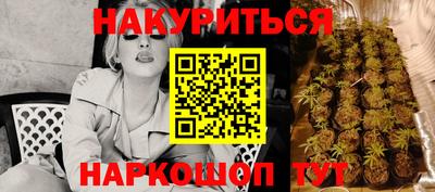 стафф Заводоуковск