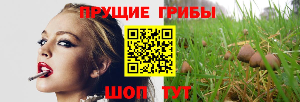 Галлюциногенные грибы мухоморы  Галлюциногенные грибы мицелий  Ухта  Вход с VPN 